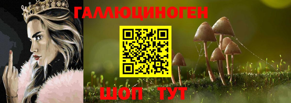Галлюциногенные грибы Magic Shrooms Кызыл